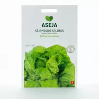 Sėklos ASĖJA SĖJAMOSIOS SALOTOS ALL THE YEAR/ROUND, 2GR, 26250(3)