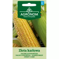 Sėklos AGRONOM KUKURŪZAI SALDIEJI Z?OTA KAR?OWA
