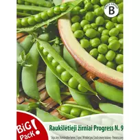 Sėklos BIG PACK ŽIRNIAI RAUKŠLĖTIEJI PROGRESS/20G 0506 (B LINIJA)