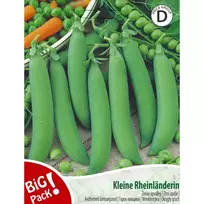 Sėklos BIG PACK ŽIRNIAI APVALIEJI KLEINE/RHEINLANDERIN 20G 07864