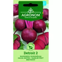 Sėklos AGRN RAUDONIEJI BUROKĖLIAI DETROIT 2