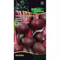 Sėklos A RAUDONIEJI BUROKĖLIAI KAHIRA