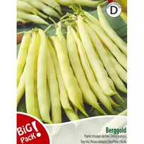 Sėklos BIG PACK PUPELĖS ŽEMAŪGĖS DARŽINĖS/BERGGOLD 20G 07888