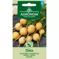 Sėklos AGRN VALGOMIEJI RIDIKĖLIAI ZLATA