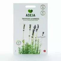 Sėklos ASĖJA TIKROSIOS LEVANDOS 0,3G 11350 4