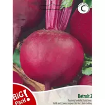 Sėklos BIG PACK BUROKĖLIAI RAUDONIEJI DETROIT/10G 07895