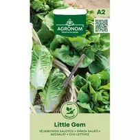 Sėklos AGRN SĖJAMOSIOS SALOTOS LITTLE GEM
