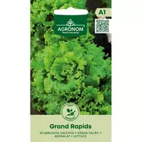 Sėklos AGRN SALOTOS SĖJAMOSIOS GRAND RAPIDS