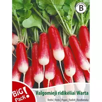 Sėklos BIG PACK RIDIKĖLIAI VALGOMIEJI WARTA/10G 0452 (B LINIJA)