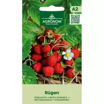 Sėklos AGRN ŽEMUOGĖS RUGEN