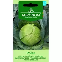 Sėklos AGRONOM KOPŪSTAI BALTIEJI GŪŽINIAI POLAR