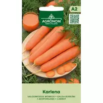 Sėklos valgomosios morkos karlena AGRN
