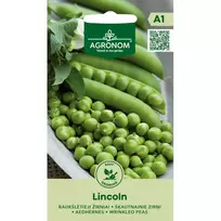 Sėklos raukšlėtieji žirniai lincoln AGRN