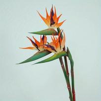 3 vnt. Dirbtinės rožių paukštės gėlės Guminė Strelitzia 24,5'' Ilgas kotas Gėlė Tinka „pasidaryk pats“ Namų vakarėlio temai Dekoravimui