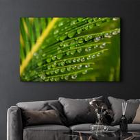 Reprodukcija SLV-1001 – Gamta, 110x70 cm