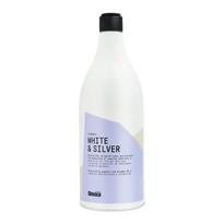 Glossco White & Silver pilkinantis plaukų šampūnas 1000 ml.