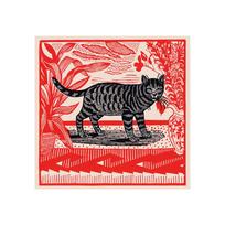 Degtukai | Sasha The Cat