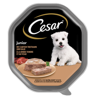 CESAR Junior padėklas 150 g – visavertis šlapias maistas šuniukams, su kalakutiena ir veršiena, paštete
