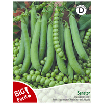 Žirniai raukšlėtieji Senator 20g 07871