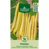 Sėklos AGRONOM PUPELĖS DARŽINĖS ŠPARAG. MAXIDOR