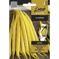 Sėklos LUCIA ELITE PUPELĖS DARŽINĖS ŽEMAŪGĖS GOLDA/CORVETA H