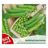 Sėklos BIG PACK ŽIRNIAI RAUKŠLĖTIEJI KANTATA