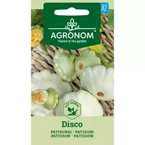 Sėklos AGRN PATISONAI DISCO