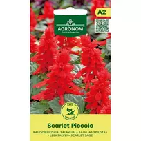 Sėklos AGRONOM RAUDONŽIEDŽIAI ŠALAVIJAI SCARLET/PICCOLO