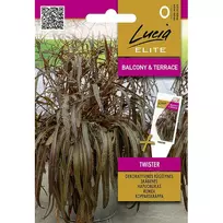 Sėklos LUCIA ELITE RŪGŠTYNĖS DEKORATYVINĖS TWISTER/CORVETA H