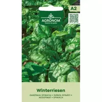 Sėklos AGRONOM ŠPINATAI DARŽINIAI WINTERRIESEN