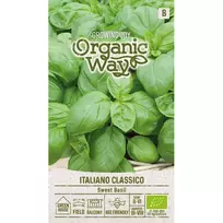 Sėklos ES BIO OW BAZILIKAI KVAP ITALIANO CLASS
