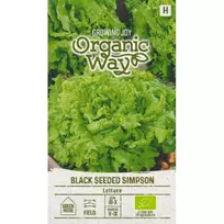 Sėklos OW SALOTOS SĖJAMOSIOS BLACK SEEDED/SIMPSON