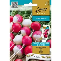 Sėklos LUCIA ELITE RIDIKĖLIAI VALGOMIEJI FARAON POLONEZ/CORVETA H