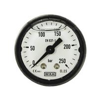 Manometras R+M 250bar 1/8"