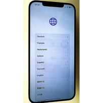 Ekranas su artumo davikliu skirtas Apple iPhone 12 Pro Max (Pairable) (DEFECTIVE-12) (Refurbished)