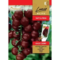 Sėklos ELN-POMIDORAI VALGOMIEJI BLACK CHERRY