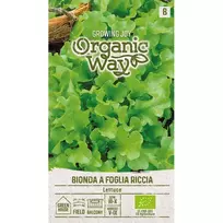 Sėklos ES SALOTOS SĖJAMOSIOS BIONDA A FOGLIA/RICCIA