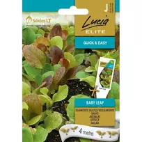 Sėklos ELN-SALOTOS SĖJAMOSIOS BABY LEAF VEISLIŲ/MIŠINYS