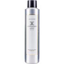 ANTONIO AXU - Styling Spray Strong Hold Plaukų formavimo kremas 300 ml unisex