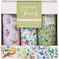 HEATHCOTE & IVORY - HEATHCOTE & IVORY Flower of Focus Hand Cream Trio Rankų ir nagų priežiūros rinkiniai 1 pieces unisex