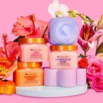 Tree Hut Shea Sugar Body Scrub 510g Set Of 2 Moroccan Rose [BEST]/Moroccan Rose [BEST]