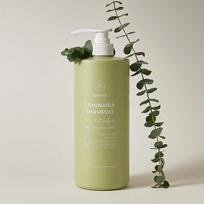 La Ferme Laminaria Shampoo Pine   Eucalyptus 1000ml + 6 Types Of Sachet Free Gift NONE