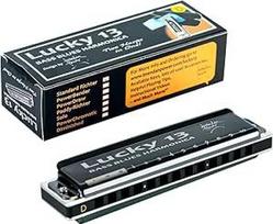 Rytų viršuje Lucky 13 Bass Plus Blues Harmonica 13 skylių Diatoninė arfa Harmonica Profesionalus Jichter Harmonica D raktas suaugusiems