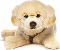 Uni-Toys - Auksaspalvis retriveris, gulintis - su diržais - 60 cm (ilgis) - Pliušinis šuo - Pliušinis žaislas, pliušinis žaislas