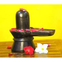 RSINC Juodo marmuro shivlingo statulėlė Shiv Lingam Statulėlė 3 coliai JL286816667665