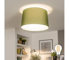 Brilagi - LED prigludęs šviestuvas CERIA 1xE27/40W/230V skersmuo 45 cm žalia