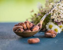 Ekologiškos Criollo kakavos pupelės, 1 kg