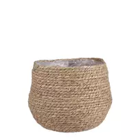 Pintas vazonas, rudos sp., 24 x 26 cm
