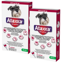2x KRKA Ataxxa 1250 mg/250 mg lašai šunims, sveriantiems nuo 10 kg iki 25 kg