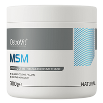 OSTROVIT MSM - 300g